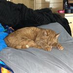 Profile Picture of Ray (@xo.redmonstersucks) on Instagram