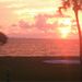 Profile Picture of David Otten (@dave93041663) on Pinterest
