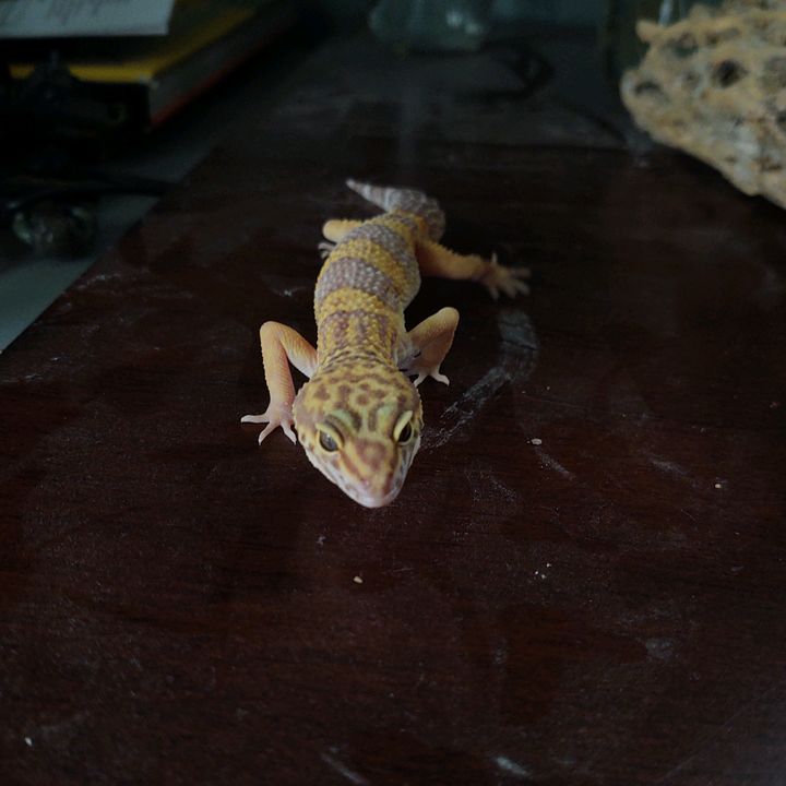 Profile Picture of stepen (@stephenhuxford) on Tiktok