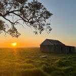 Profile Picture of Claudine Cox John (@claudinecoxjohn) on Instagram