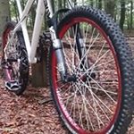 Profile Picture of Michael Baumgarten (@michael.baumgarten.37) on Instagram