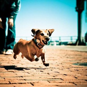 Steven Schoenfeld - Twitter Profile Picture of Steven Schoenfeld (@smschoenfeld) on Twitter