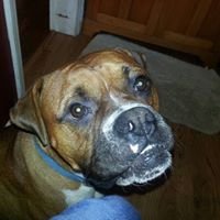 Profile Picture of Sharon Covert (@a2ztreasures04) on Twitter