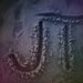 Profile Picture of Jeremy Dufrene (@bullfrogduf) on Pinterest