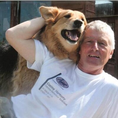 Profile Picture of Ray Hobbs (@canine_harmony) on Twitter
