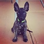 Profile Picture of Nathan Hersman (@nate_hersman) on Instagram