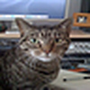 Profile Picture of Mark Harden (@Mark Harden) on Flickr