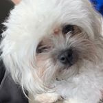Profile Picture of Bobby Boo Schroeder (@bobby_boo10) on Instagram