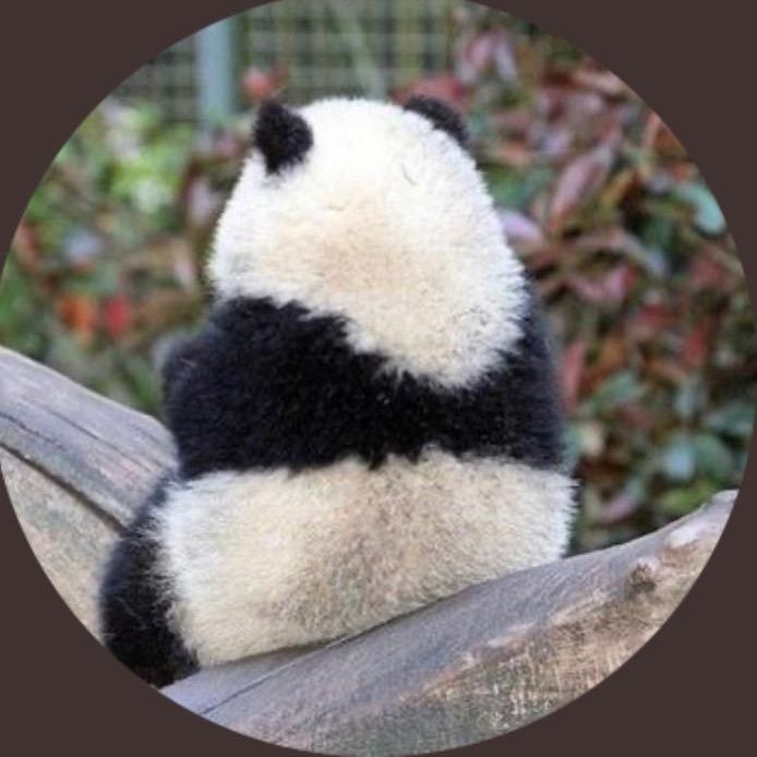 Profile Picture of Michael (@michael.da) on Tiktok