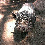 Profile Picture of Gerald Koch (@tituskoch) on Instagram