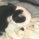 Profile Picture of william neil Mcivor (@williamneilmcivor) on Instagram