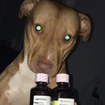 jirehh_ - Instagram Profile Picture of jirehh_ (@jirehh_) on Instagram