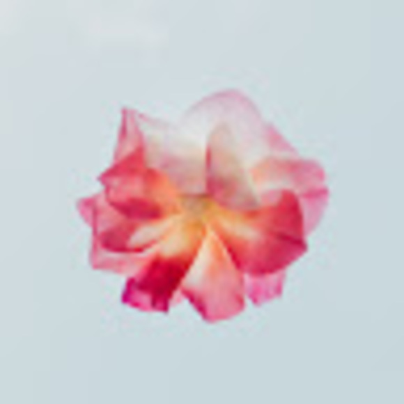 Profile Picture of Natalie Cardot (@nataliecardot) on Poshmark