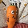 Profile Picture of 🥕CARROT🥕 (@@craig_the_carrot) on Tiktok