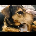 Profile Picture of Christopher Barnes (@powers.horse) on Instagram