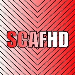 Profile Picture of Sean Caffrey (@SCAFHD9) on Twitter