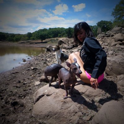 Profile Picture of Ramona Simón (@@Ramonasimonn) on Twitter