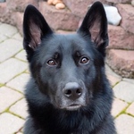 michaelzuzel - Flickr Profile Picture of michaelzuzel (@michaelzuzel) on Flickr