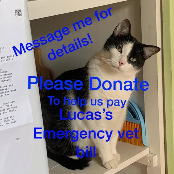 Profile Picture of Ravenel Horres (@kolgirl843) on Poshmark