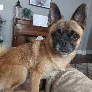 Profile Picture of christophermcconn088 (@christopher.mccon1) on Tiktok