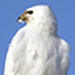 Profile Picture of Mr. Sunup (@mr. sunup) on Flickr