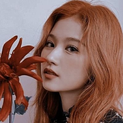Profile Picture of 𔘓 𝐥𝐨𝐲. ִֶָ 𝐚𝐢𝐬𝐡𝐚.  🕊️♡. (@jim_bearx) on Twitter