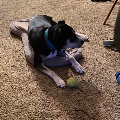 Profile Picture of Paul Granata (@Paul_Granata) on Twitter