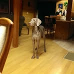 Profile Picture of Scott Schiffman (@scott.schiffman.3) on Facebook