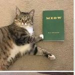 Profile Picture of Adrian Davis (@davisfamwrites) on Instagram