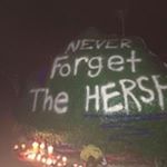 Profile Picture of Jeff Hersh (@jeff.hersh) on Instagram