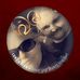 Profile Picture of Steven Edgell (@steven.edgell.37) on Facebook