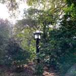 Profile Picture of Casey Huang (@thecaseyhuang) on Instagram