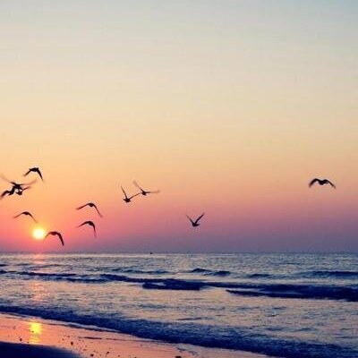 Profile Picture of Stephanie Moret (@moret_stephanie) on Twitter