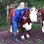 Profile Picture of Jane Reid (@janereid7231) on Instagram