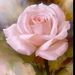 Profile Picture of Doris Gibson (@sput70) on Pinterest