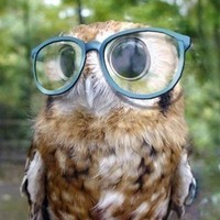 Profile Picture of George Franklin (@george-franklin-31) on Quora