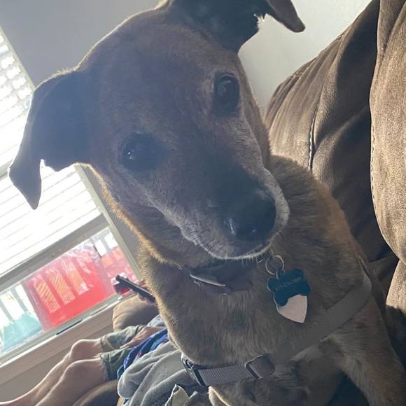 Profile Picture of Pam Heathman (@pssaylor) on Poshmark