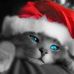 Profile Picture of Adam CHlusta (@adam.chlusta) on Facebook