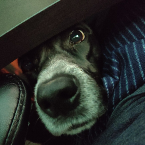 Profile Picture of Nicholas Munoz (@nickdanick) on Poshmark