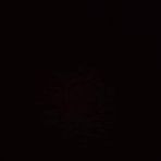 Profile Picture of Dustin Ramsay (@Dustin-Ramsay) on Facebook