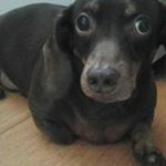 Profile Picture of Cecilia Shimma (@shimmacecilia) on Instagram