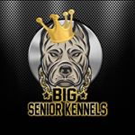 Profile Picture of Joseph Reese Sr. (@joseph_bigsenior_reese) on Instagram