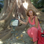 Profile Picture of Yolanda Baca Briales (@yolandabacabriales3813) on Youtube