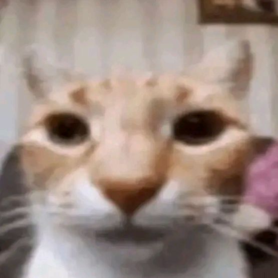 Profile Picture of *?! (@michael_deboy) on Tiktok