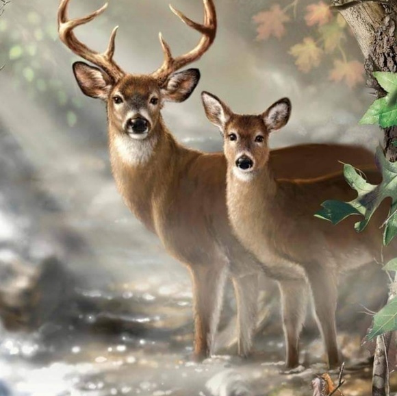 Profile Picture of Yvette Ovitt (@tilly73) on Poshmark