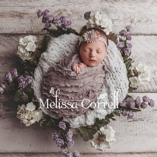 Profile Picture of Melissa Correll (@melissacorrellphotography) on Instagram