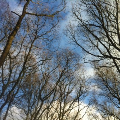 Profile Picture of Rachel Gibson Cooper (@RJGibsonCooper) on Twitter