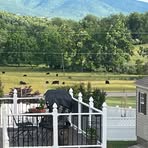 Profile Picture of Lori Reagan (@lori.reagan.194250) on Facebook