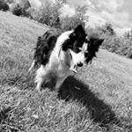 Profile Picture of Kim Jackson (@kimsphotography__) on Instagram