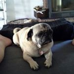 Profile Picture of Thomas Glatz (@thomas_glatz) on Instagram